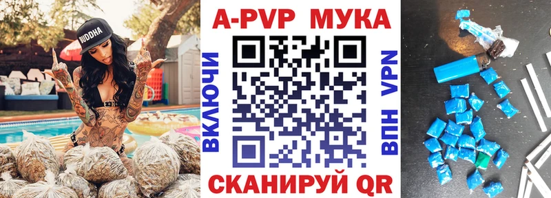 Альфа ПВП СК КРИС  Кстово 