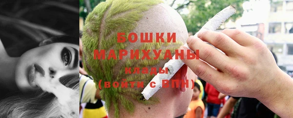 прущие грибы Белоозёрский