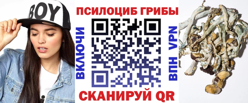 Галлюциногенные грибы прущие грибы  Кстово 