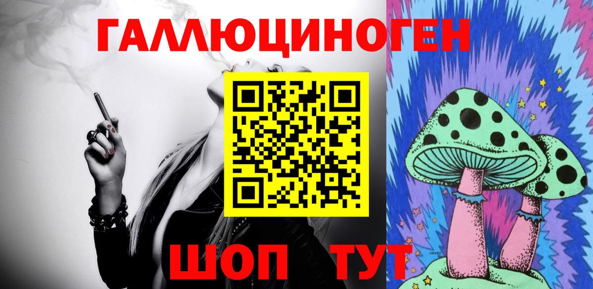 Псилоцибиновые грибы Psilocybe Кстово