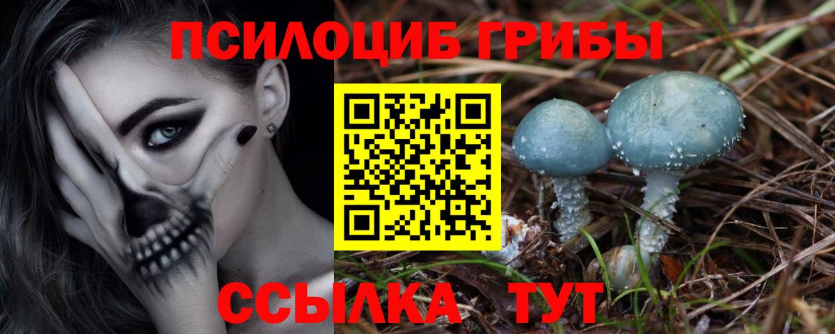 Псилоцибиновые грибы ЛСД  Вход с VPN  Кстово  Галлюциногенные грибы MAGIC MUSHROOMS 